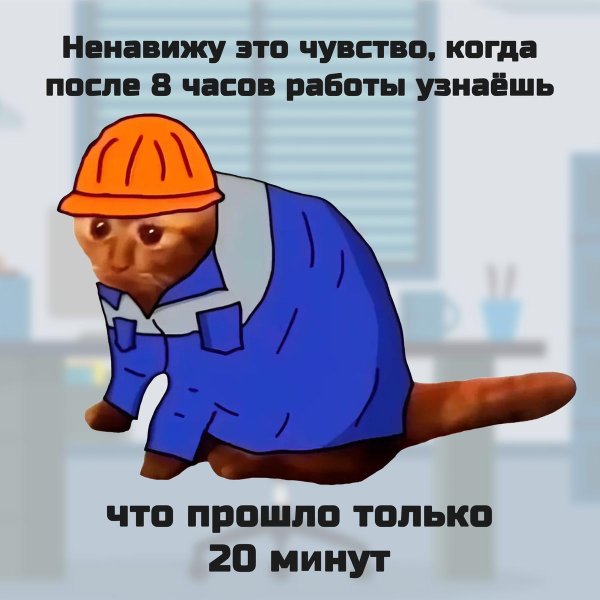 мемы по работе