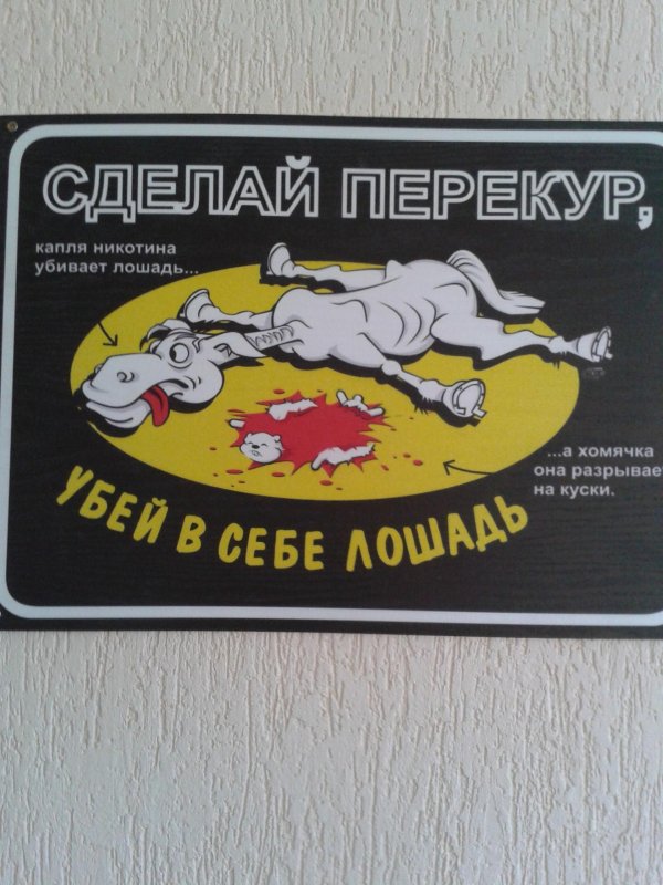 капля никотина убивает лошадь