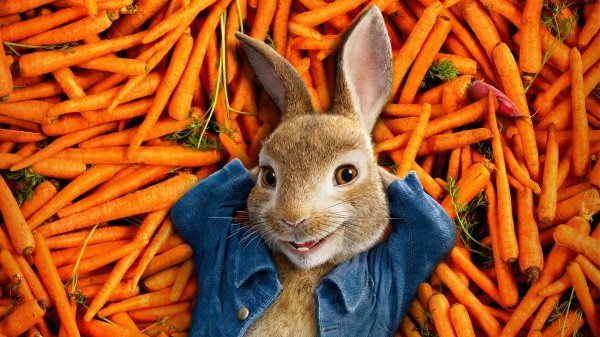 peter rabbit 2018