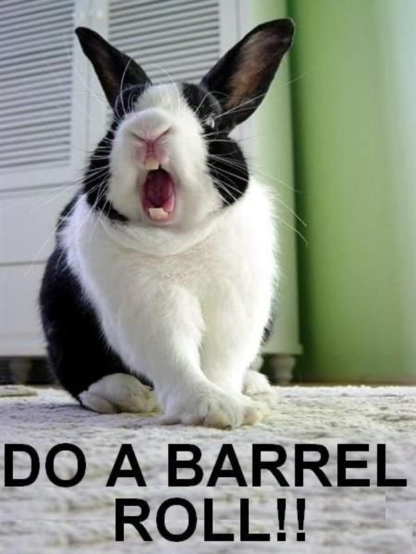 do a barrel roll