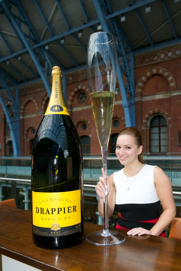шампанское drappier brut