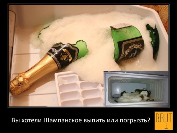 шампанское прикол