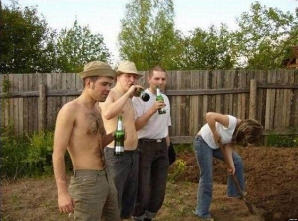 дачные приколы