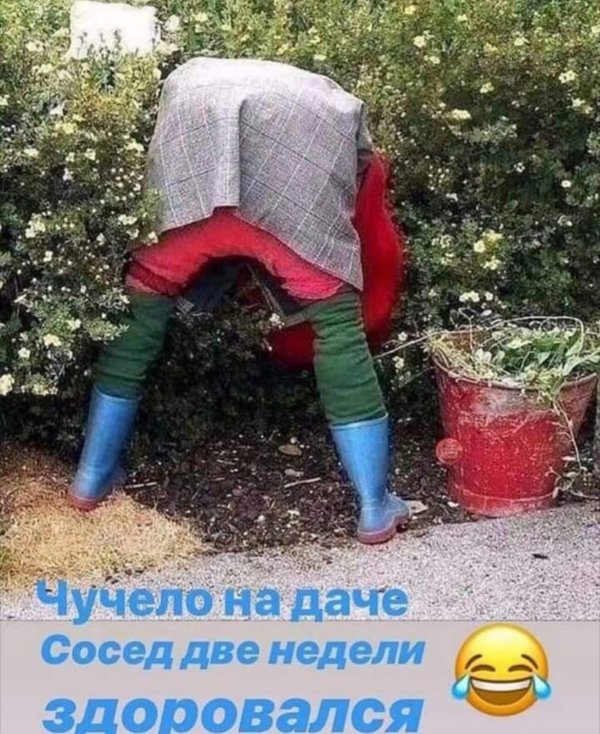 чучело для сада