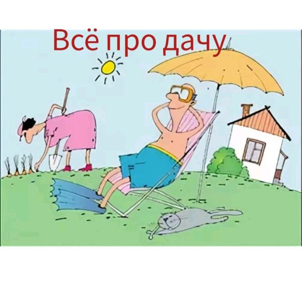 дачник карикатура