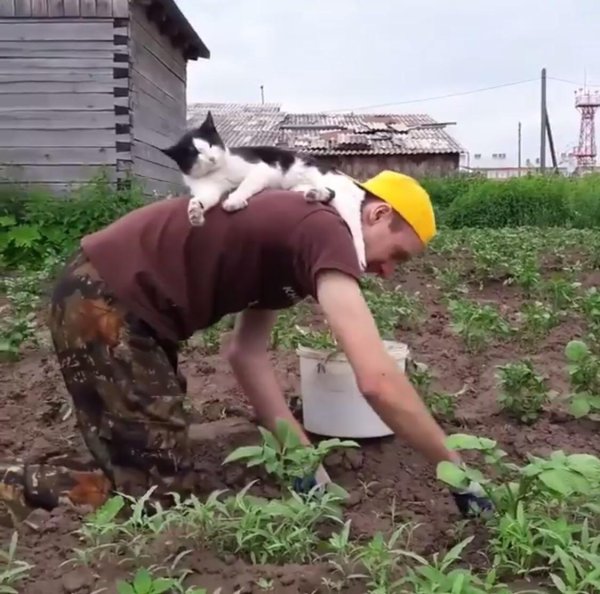 прополка огорода