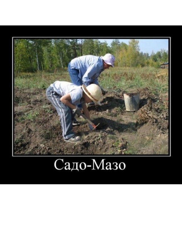 огород прикол