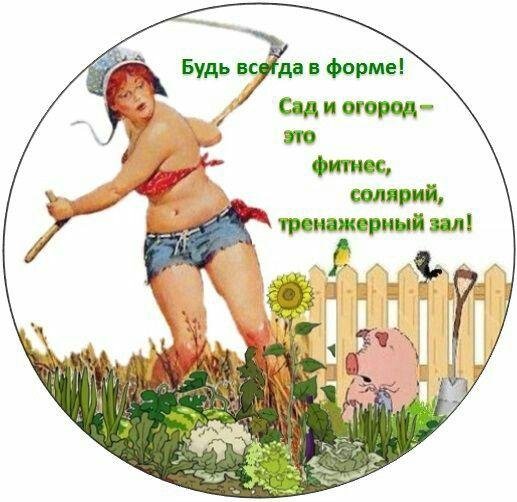 утро в колхозе