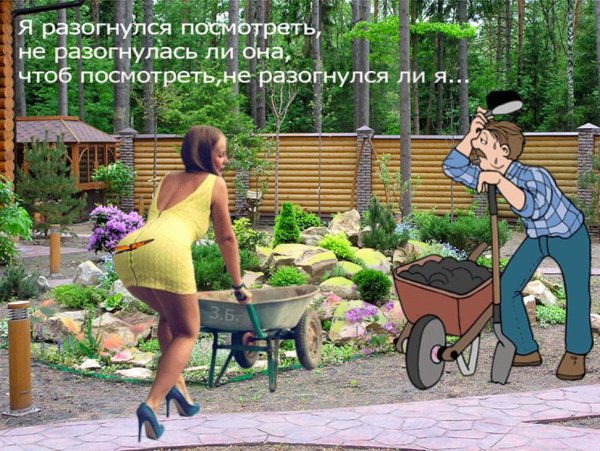 начало дачного сезона