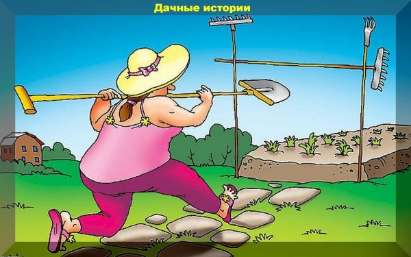 дачник карикатура