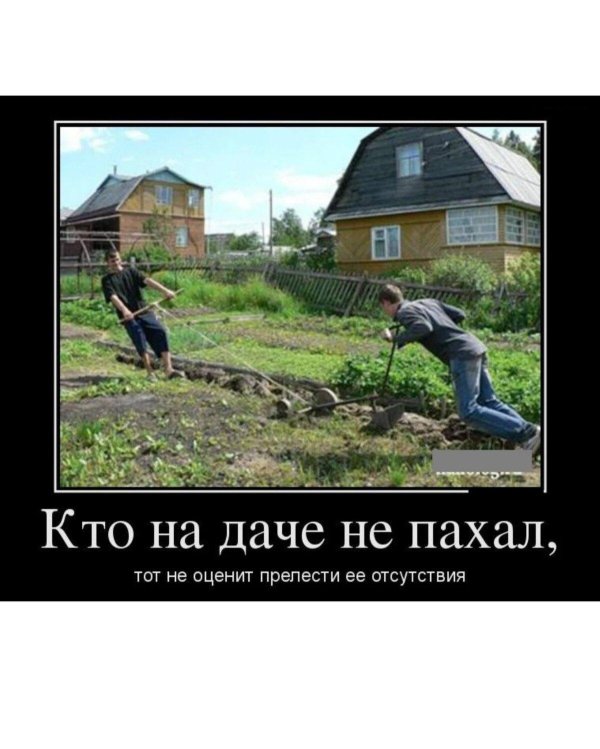 дача огород