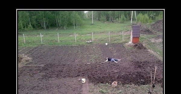 тяпнула соточку