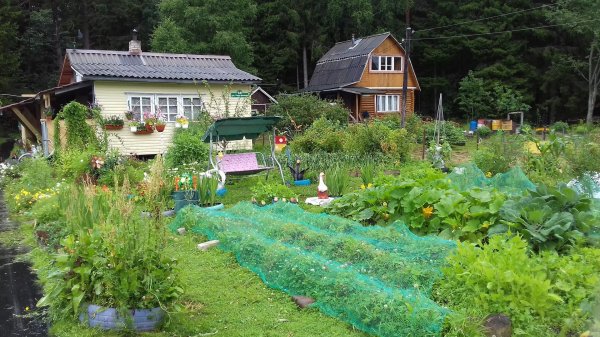 дачные участки