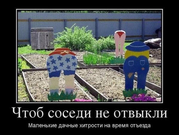 дачные приколы