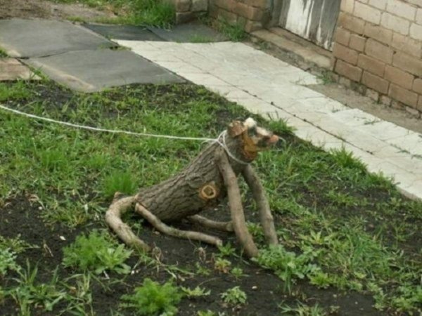 прикольная дача