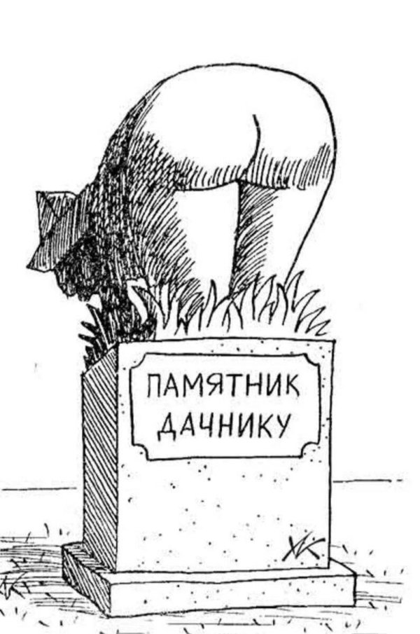 угарные карикатуры