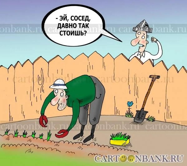 шарж дачница