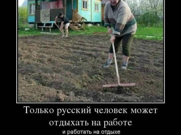 дачники приколы