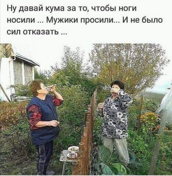 дачные соседи