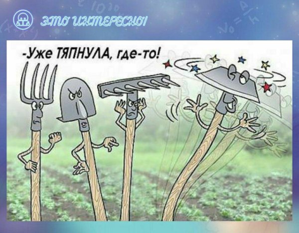 смешные дачники