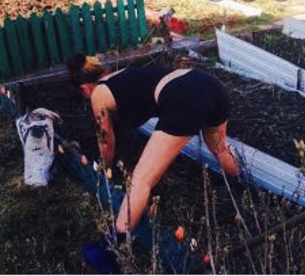 раком в огороде