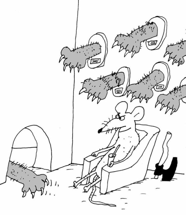 вячеслав шилов карикатурист