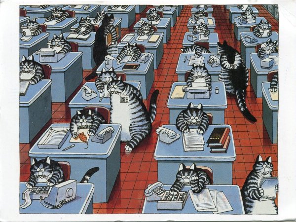 рисованные коты