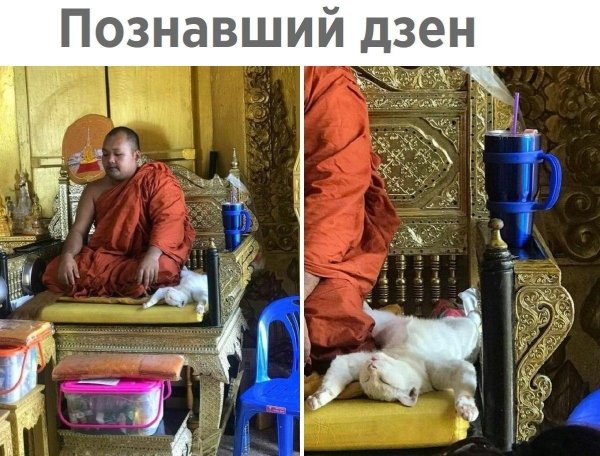 буддизм храм