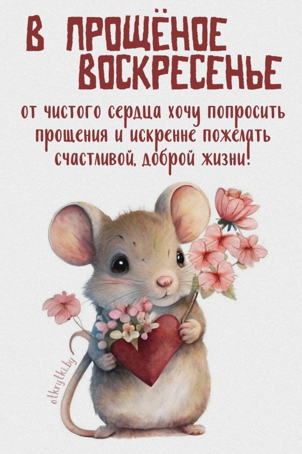 прощение воскресение