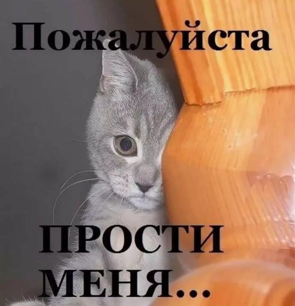 прости любимый