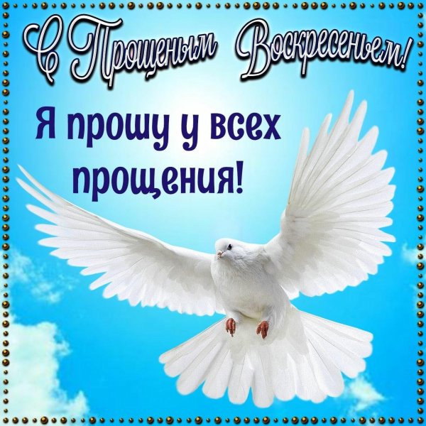 Прошу прощения