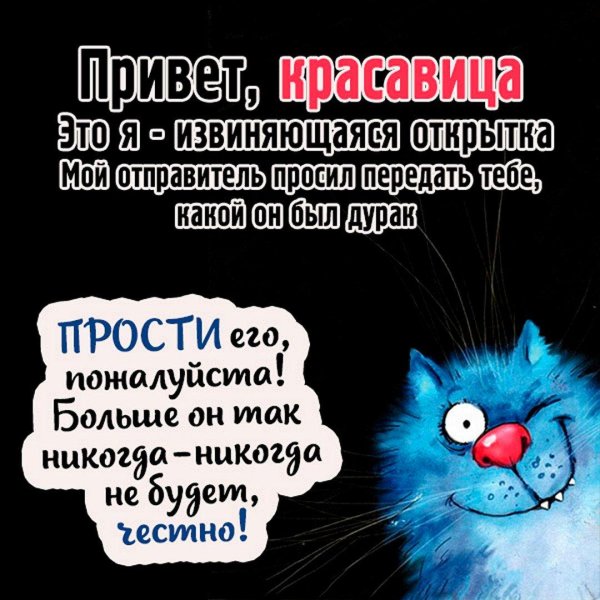 синие коты ирины