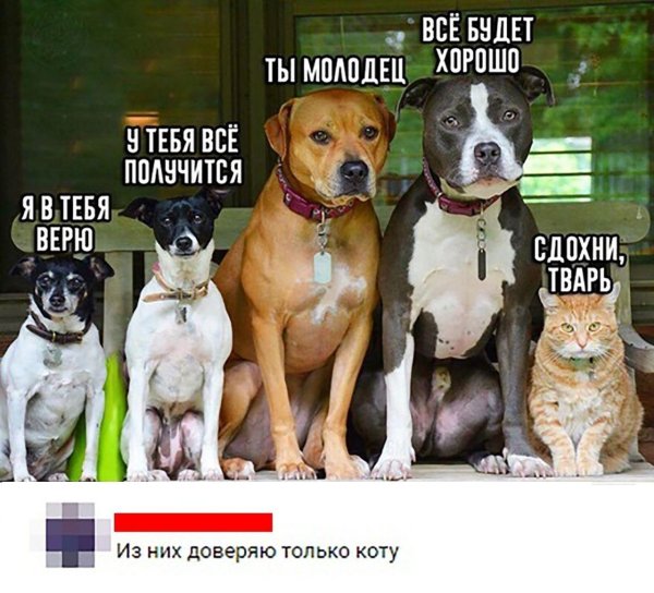 Не верю