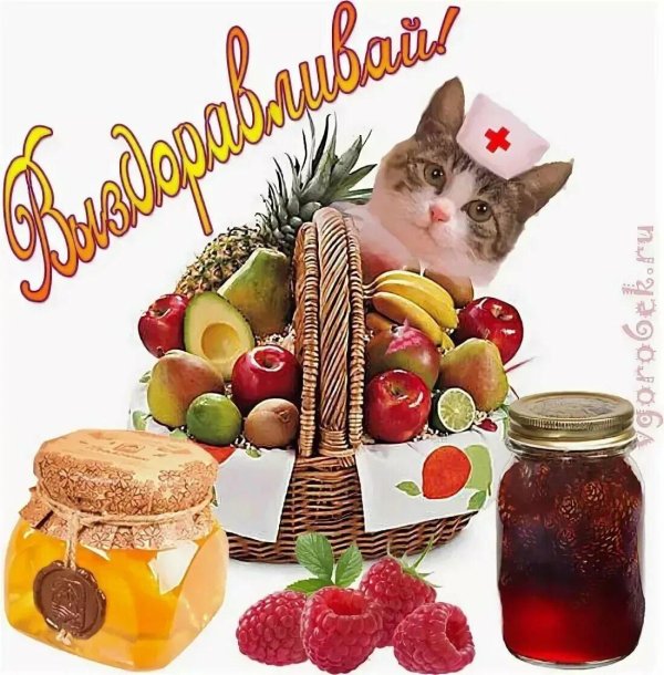 Не болей