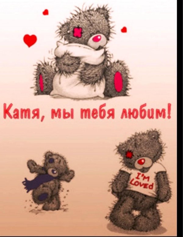 мишка тедди