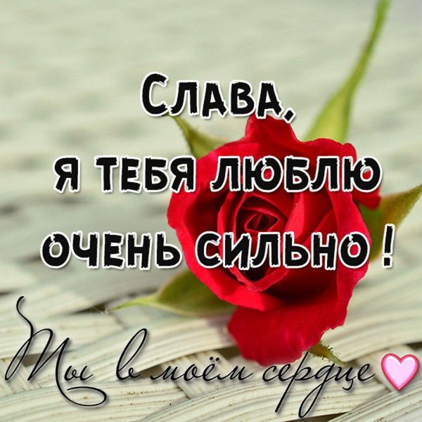 слава я тебя люблю
