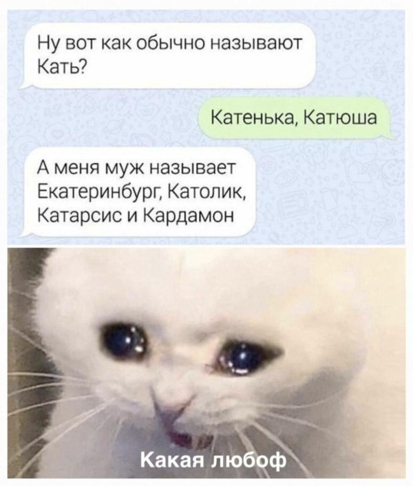 кот плачет мем