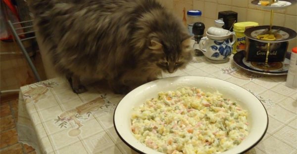 тазик оливье