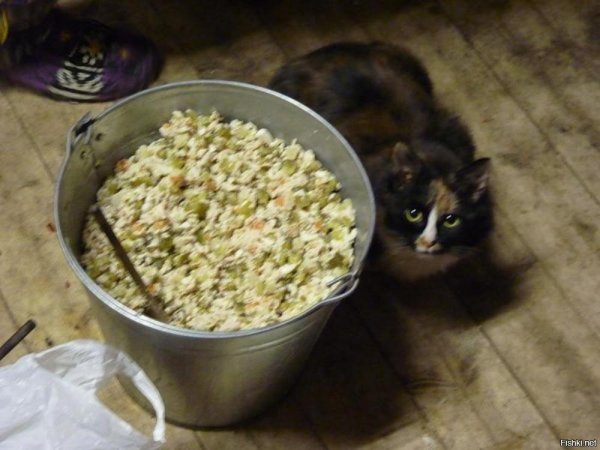 тазик салата