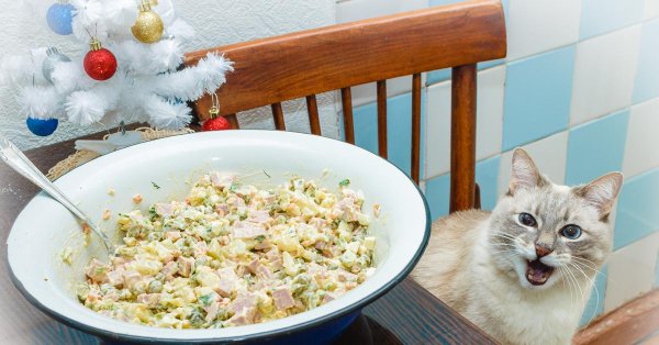 тазик оливье