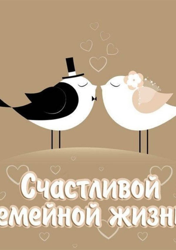 счастья в семейной жизни