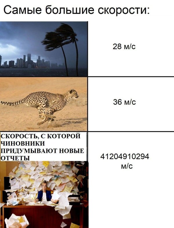 скорость гепарда