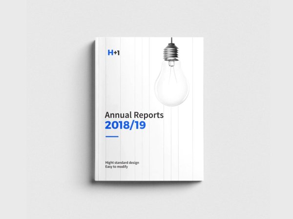 annual report
