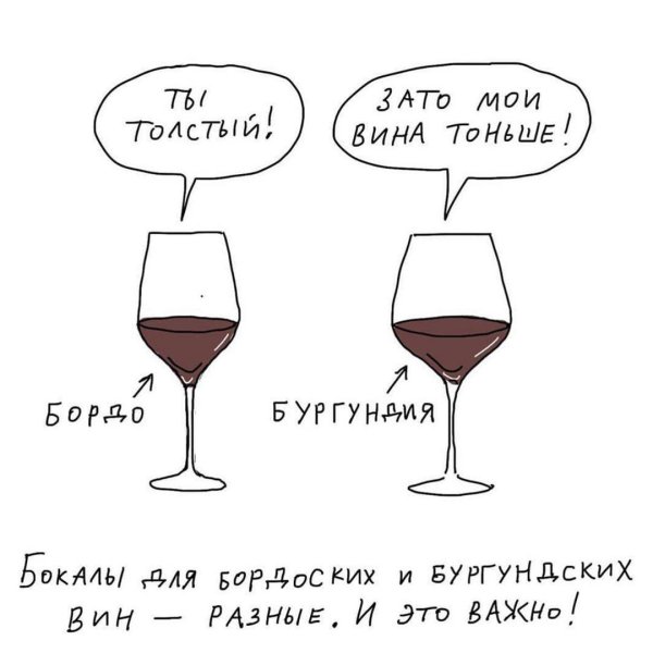 шутки о вине