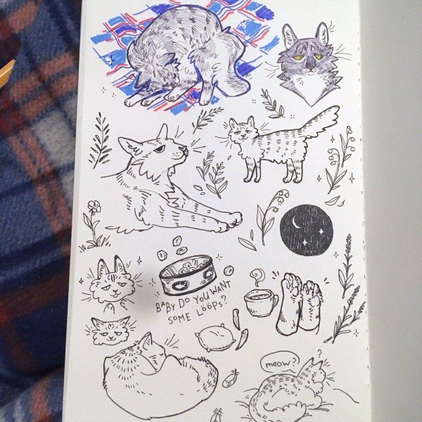 рисунок скетчбук