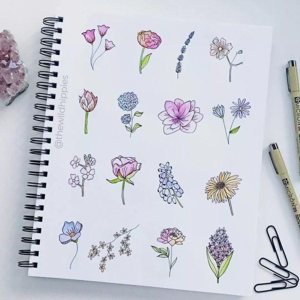 скетчбук цветы