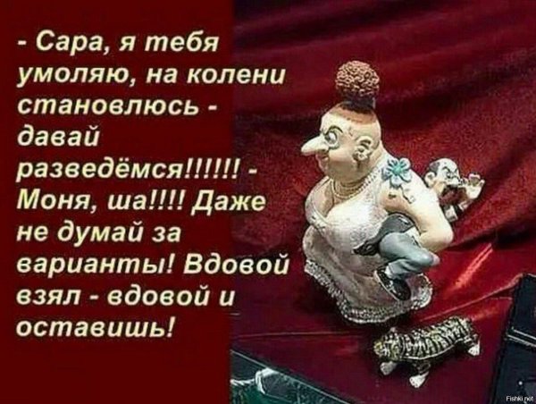 афоризмы смешные