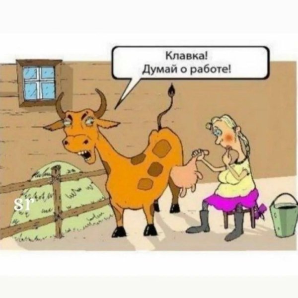 корова карикатура
