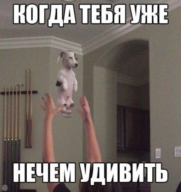 удивление прикол