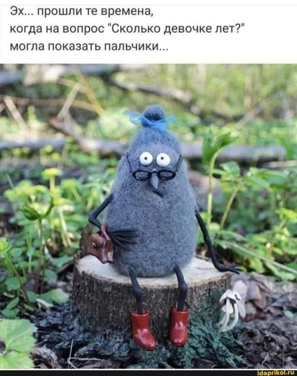 мымра игрушка